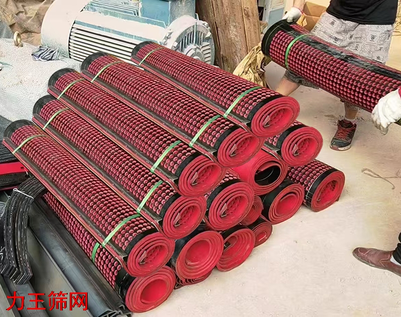 橡胶筛网1 (3).jpg